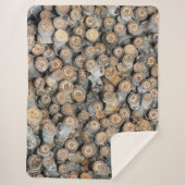 Sterren langs de Rio Grande Cotton Wood Trees Talk Sherpa Deken (Voorkant)