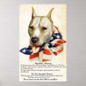  sterren met schuine streep Banner Pit Bull Dog 2  Poster (Voorkant)