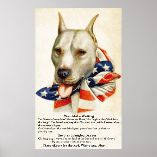 sterren met schuine streep Banner Pit Bull Dog 2 Poster (Voorkant)