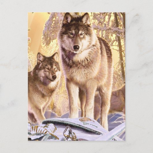 "Sterren onder sneeuw" Briefkaart (Voorkant)