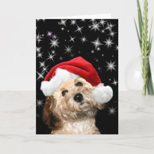 Sterren Santa hond Feestdagen Kaart (Voorkant)