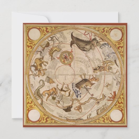 Sterren sterrenbeeld Zuidelijke Hemel  Astronomie (Voorkant)