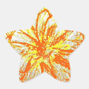 Sterren Stickers geel Gerbera