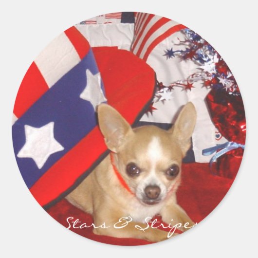 Sterren & Strepen Chihuahua Pin Ronde Sticker (Voorkant)