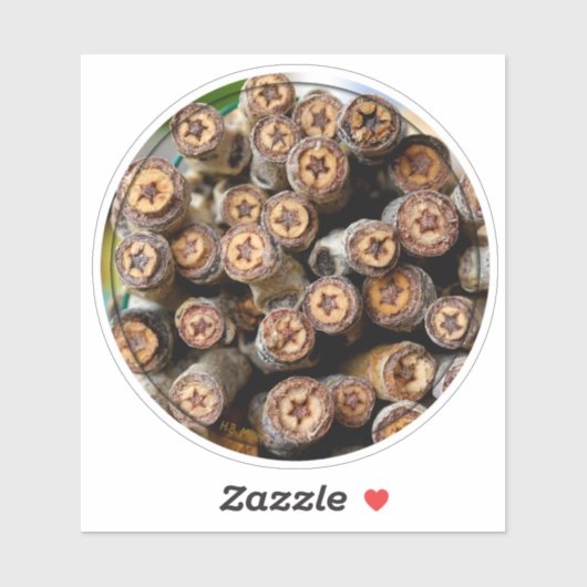 Sterren van de katoenbomen langs de Rio Grande Sticker (Vel)