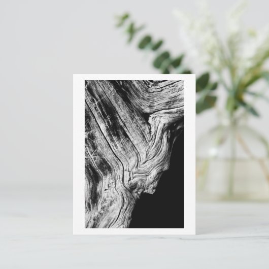 sterren zeggen dat briefkaart (Staand voorkant)