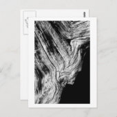 sterren zeggen dat briefkaart (Voorkant / Achterkant)