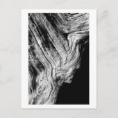 sterren zeggen dat briefkaart (Voorkant)