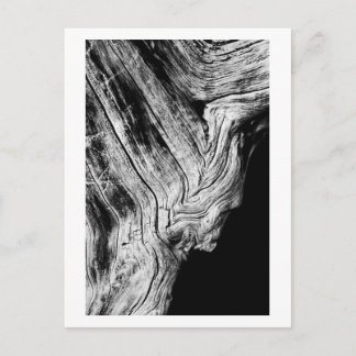 sterren zeggen dat briefkaart