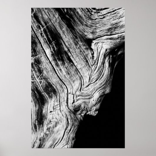 sterren zeggen dat poster (Voorkant)