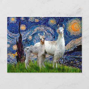 SterreNachT met Twee Llama's Briefkaart