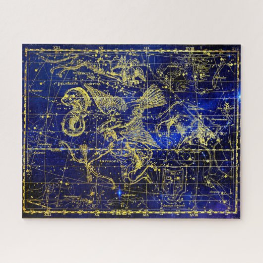 Sterrenbeeld Dolfijn Legpuzzel (Horizontaal)