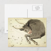 sterrenbeeld: Stier briefkaarten (Voorkant / Achterkant)