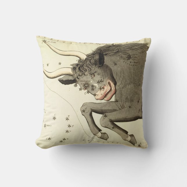 sterrenbeeld: Stier Kussen (Voorkant)