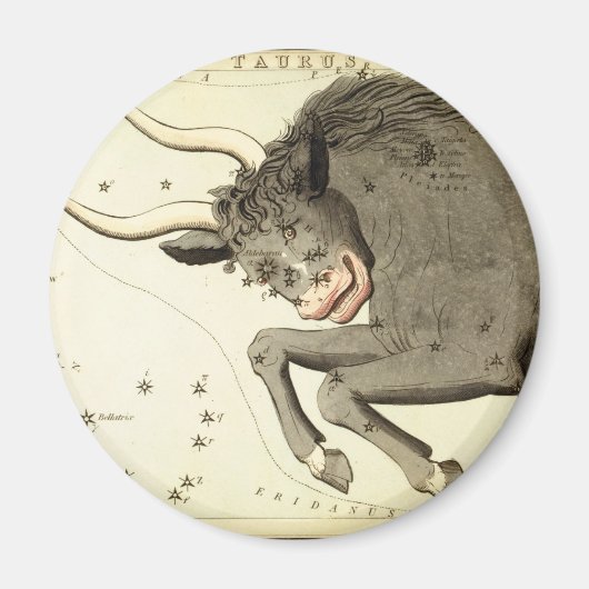 sterrenbeeld: Stier magneten (Voorkant)