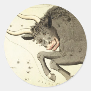 sterrenbeeld: Stier stickers