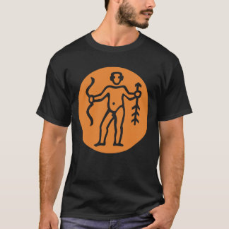 STerrenbeeld TEKEN T-shirt