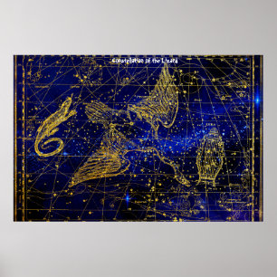Sterrenbeeld van de Hagedis Poster