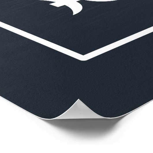 sterrenbeeld Vissen Poster (Hoek)