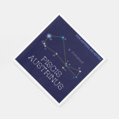 Sterrenbeeld zuidelijke hemisfeer Piscis Austrinus Servet (Hoek)