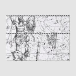  sterrenbeelden tissuepapier