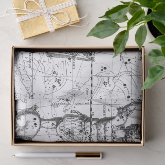  sterrenbeelden tissuepapier (Geschenk)