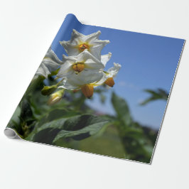 Sterrenbloemen Solanum tuberosum Cadeaupapier