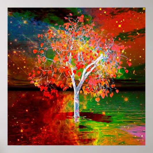 Sterrenboom Poster (Voorkant)