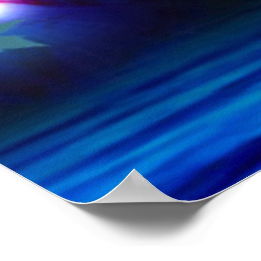 sterrendier poster (Hoek)