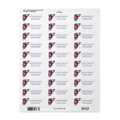 Sterrengeglazuurde Viering Retouradres Etiket (Full Sheet)