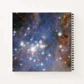 Sterrenhoop Trumpler 14. Notitieboek (Achterkant)