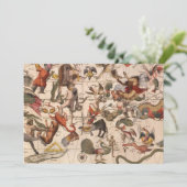 sterrenkaart van Constellation door Backer en Bro (Staand voorkant)