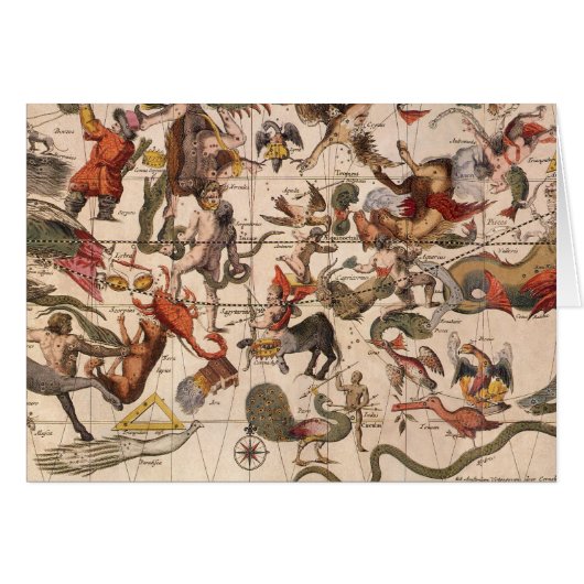 sterrenkaart van Constellation door Backer en Bro (Voorkant Horizontaal)