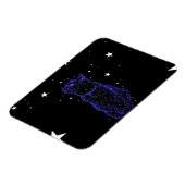 Sterrenkijkende kat magneet (Linkerzijde)