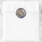  sterrenkunde Celestial Constellations Fresco Ronde Sticker (Tas)