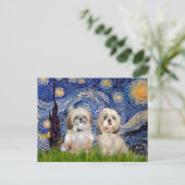 Sterrennacht - 2 Sihih Tzus (P+Y) Briefkaart (Staand voorkant)