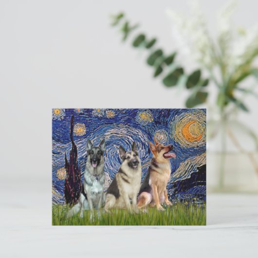 Sterrennacht - 3 Duitse herders Briefkaart (Staand voorkant)