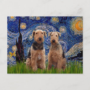 Sterrennacht - Airedale Terriers (twee) Briefkaart