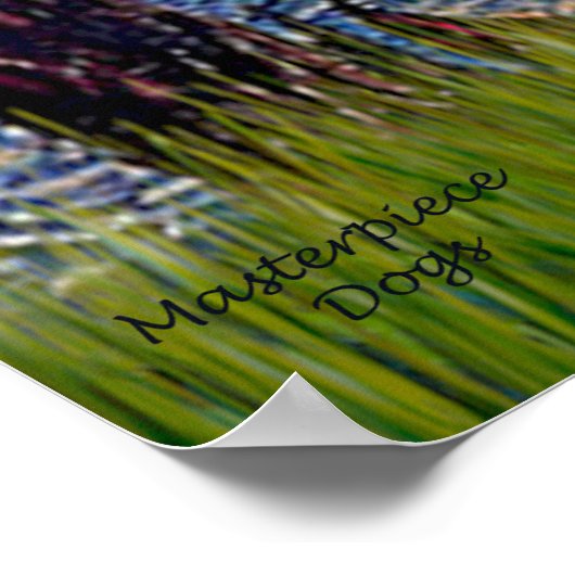 Sterrennacht - Beagle #1 Poster (Hoek)