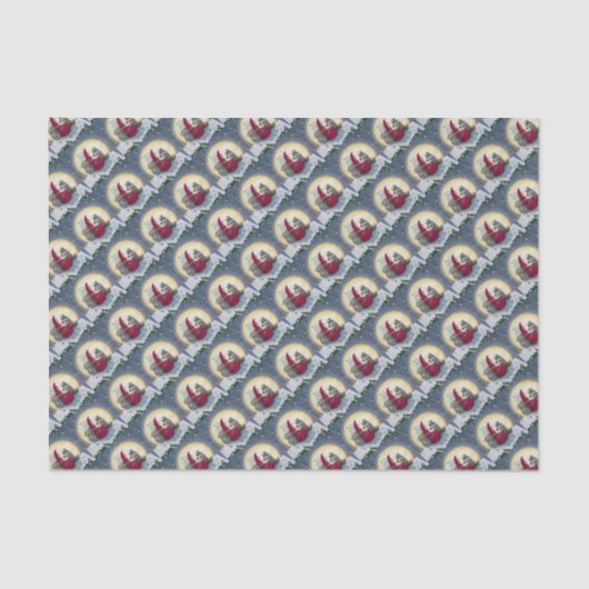 Sterrennacht Belsnickle Santa CHRISTMAS PAKKET Tissuepapier (Voorkant)