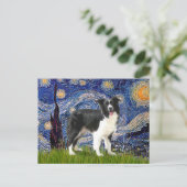 Sterrennacht - Border Collie (Z) Briefkaart (Staand voorkant)
