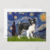 Sterrennacht - Border Collie (Z) Briefkaart (Voorkant / Achterkant)