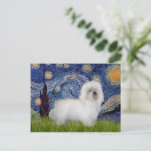Sterrennacht - Coton de Tulear 5 Briefkaart (Staand voorkant)