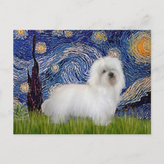 Sterrennacht - Coton de Tulear 5 Briefkaart (Voorkant)