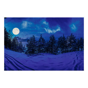 Sterrennacht met volle maan in het bos perfect poster