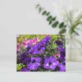 Sterrennacht Petunia briefkaart (Staand voorkant)