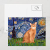 Sterrennacht - Red Abyssinius Briefkaart (Voorkant / Achterkant)