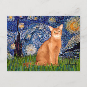 Sterrennacht - Rode Abyssinian Briefkaart