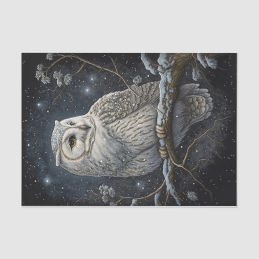Sterrennacht Snow Owl Tissuepapier (Voorkant)