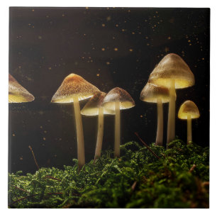 Sterrennacht stromende paddenstoelen tegeltje